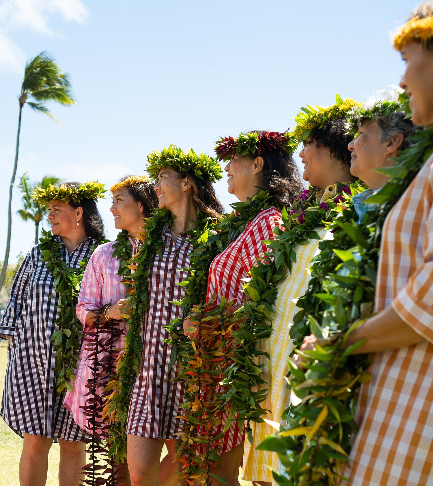 The Moana Collection